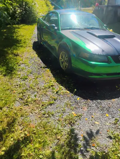Hi selling my 2004 mustang v6 3.9 . Car runs and drives great. Mvi ran out it will probably need 2 t...