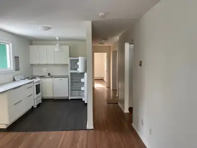 2 Bedroom unit. Long Term Tenants. Quiet, respectful building. No drama. Heat and Hot Water included...