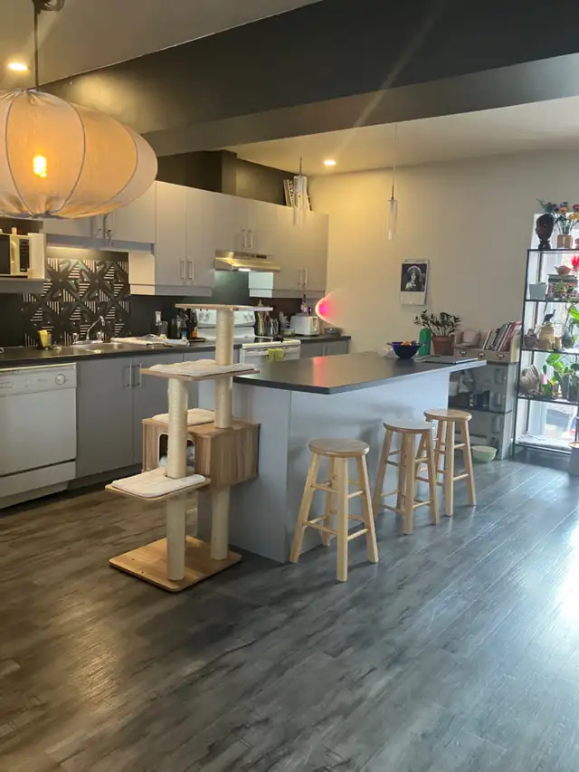 colocation hochelaga Maisonneuve 720$ in Room Rentals & Roommates in City of Montréal - Image 5