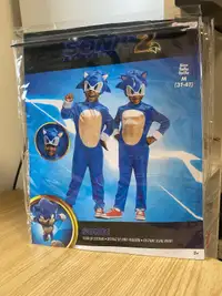 Costume Sonic
