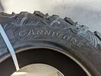 32x10x14 Maxxis carnivores