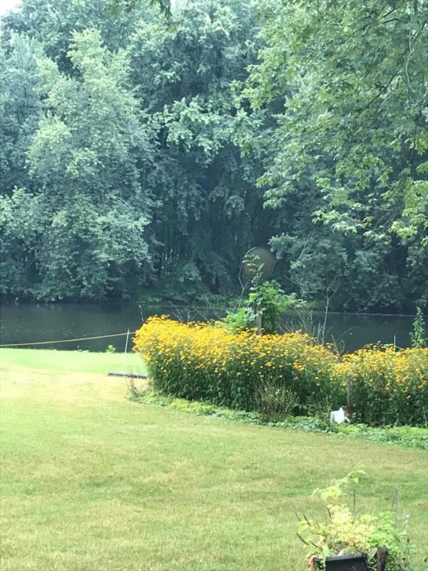 Room for rent Room Rentals & Roommates Belleville Kijiji