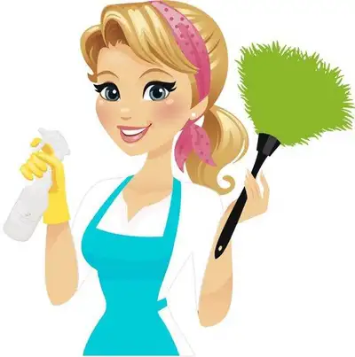 Experienced Polish cleaning lady available , View more