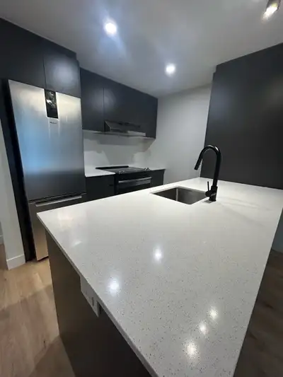 ✨ Cession de bail – 3 ½ rare de 717 pi² avec bureau fermé, walk-in, rangement et grand balcon au 235...