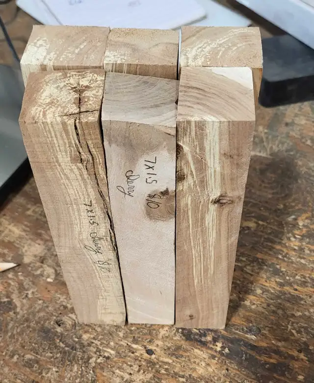 Wood turning blanks (4 local fruit species available!!!!) in Hobbies & Crafts in Winnipeg - Image 10