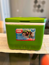 Chiller™ 9-Quart Portable Cooler, green , 9QT/8.5 Litre