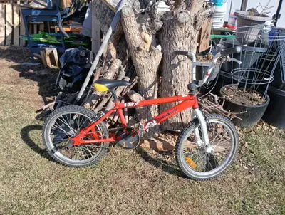 Diamond Black BMX, View more