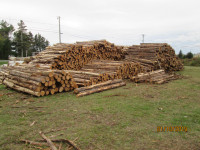 2200-piece-fence-post-cedar-8ft=10ft=12ft