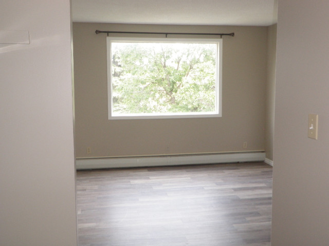 Only $765 Gorgeous 2 brm apartment in Shaunavon in Long Term Rentals in Swift Current - Image 3