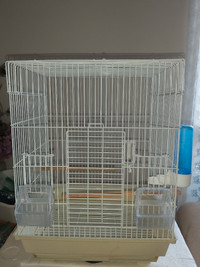 5 cages, breeder cage, loads of cage eccessaries. 