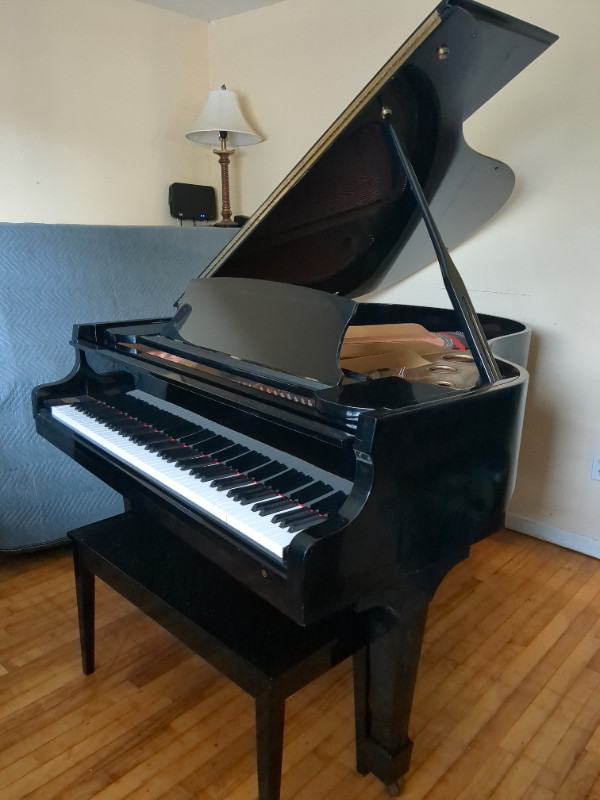 Baby Grand Samick Piano For Sale (Can Deliver) in Pianos & Keyboards in Moncton