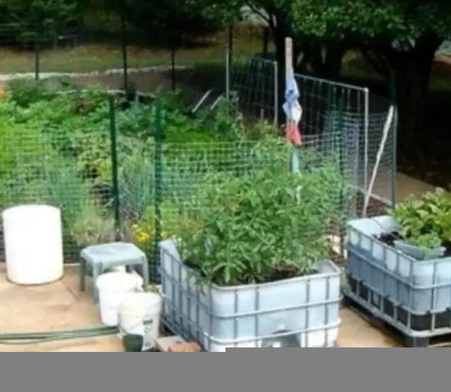 Water tanks IBC TOTES rain barrels hose adapters drink h20 safe Other