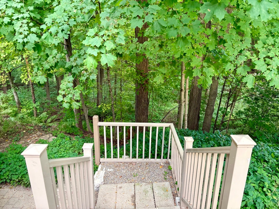 Basement for Rent In Bradford 5