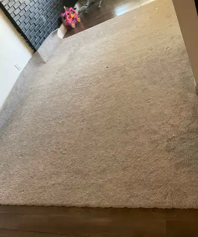 New neat and clean carpet Dimensions 12*9.6 Pets free or smoke free home Not used by children Buy fe...