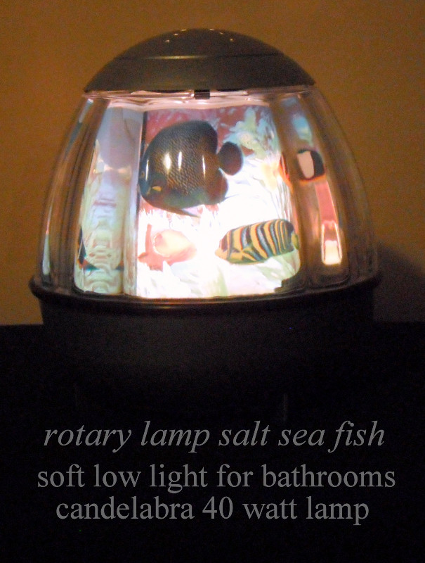Vintage lamp, turning show of sea fish, calming mood night light in Arts & Collectibles in City of Toronto - Image 3
