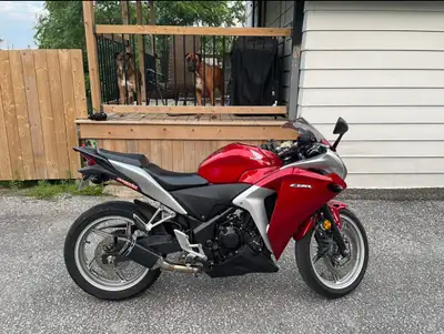 2011 Honda CBR250R Great starter bike. Runs amazing has no issues. Has an after market exhaust, and...