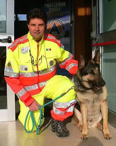 Dog Training Calgary, View more