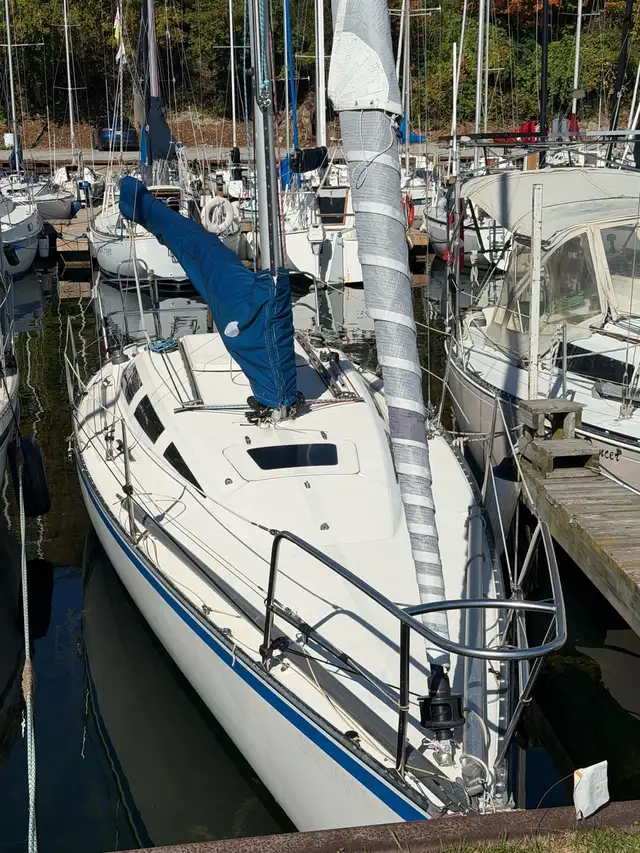 Hobie 33 Sailboat in Sailboats in Barrie - Image 3