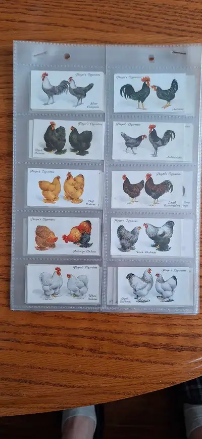 John Player Cigarette Cards, Poultry, circa 1931. UK, View more
