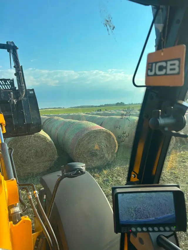 Hay for sale, 1 year old $95. Last year around this time. in Livestock in Red Deer - Image 2