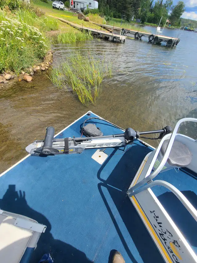 Pontoon Boat/Trailer/Outboard & Trolling Motors package! in Boat Parts, Trailers & Accessories in Thunder Bay - Image 4