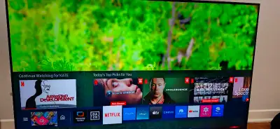 Samsung 4k uhd smart tv 50 with remote... Tv works well and almost new..