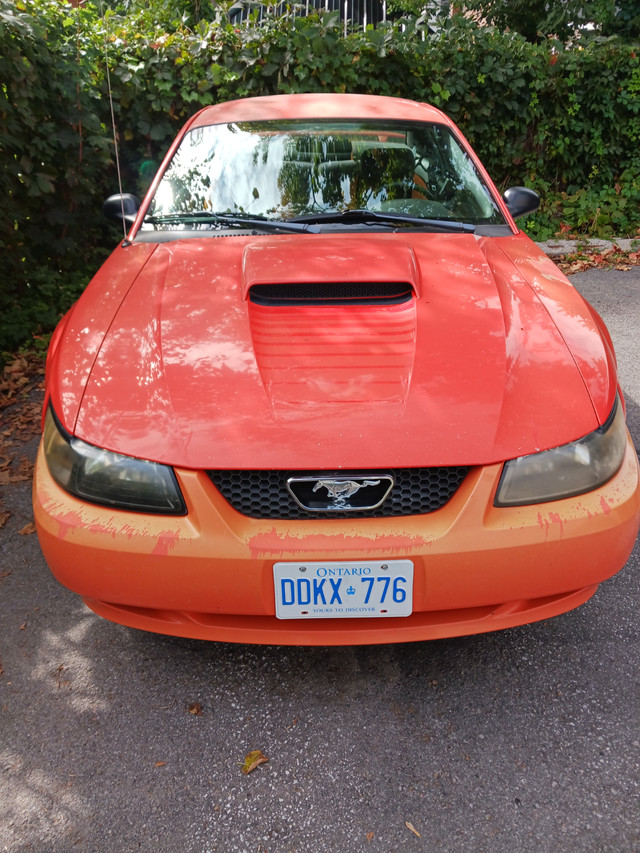 sold pending pick up,   FOR SALE, 2004 40th ANIVERSERY MUATANG. in Cars & Trucks in Belleville