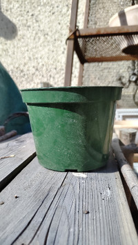 6 inch green grower pots $7/dz