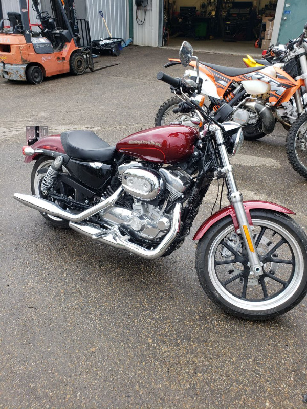 LIKE NEW 2016 Harley Davidson XL883L Sportster in Street, Cruisers & Choppers in St. Albert - Image 2