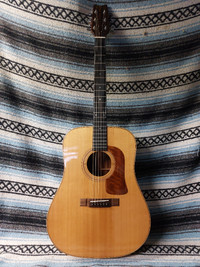 Washburn D-60SW acoustic guitar Made in Japan