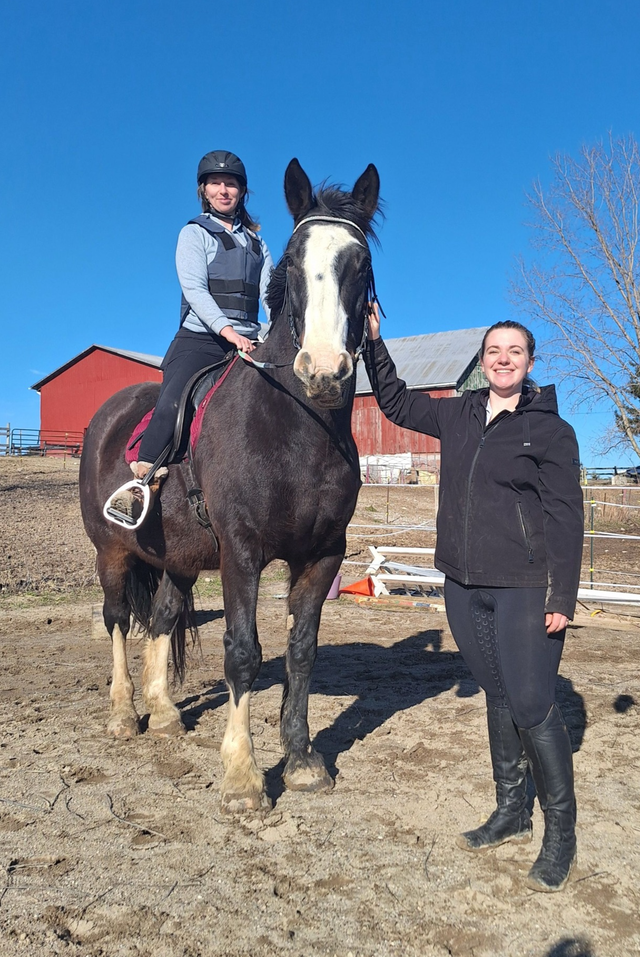 Riding Lessons- Beginners. No experience needed! All ages!438520453897267203