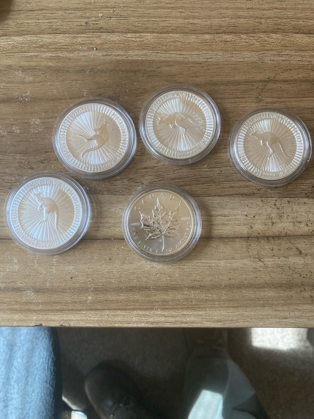 Silver Coins  in Other in Kawartha Lakes
