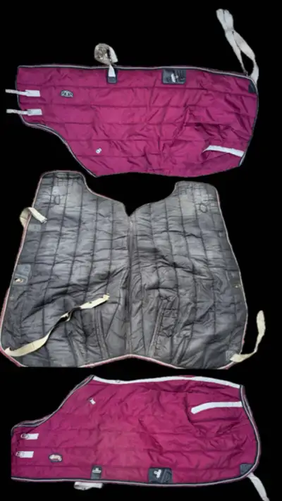 Weaver 76” horse blanket - $50 Leather bridal - $50 Professional choice bell boots (large)- $15 Purp...