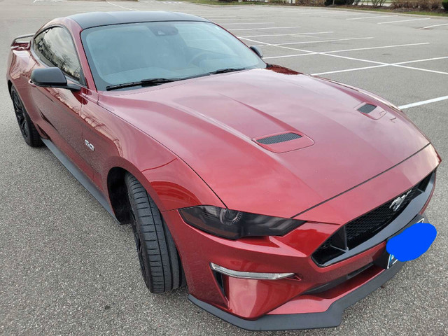 2019 Mustang GT Premium Fastback with PP1 in Cars & Trucks in Mississauga / Peel Region - Image 2