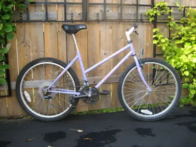 Single speed Norco winter riding bike fully tuned, View more