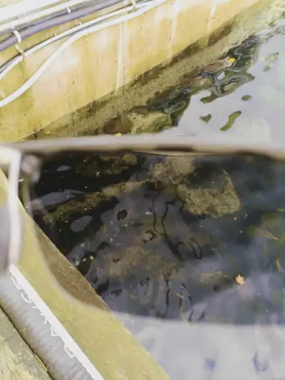 Fishing glasses , View more