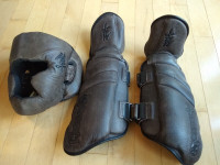 Hayabusa Kanpeki Elite 2.0 - Headgear and Shin Pads