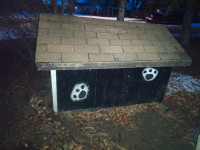 Insulated Dog House
