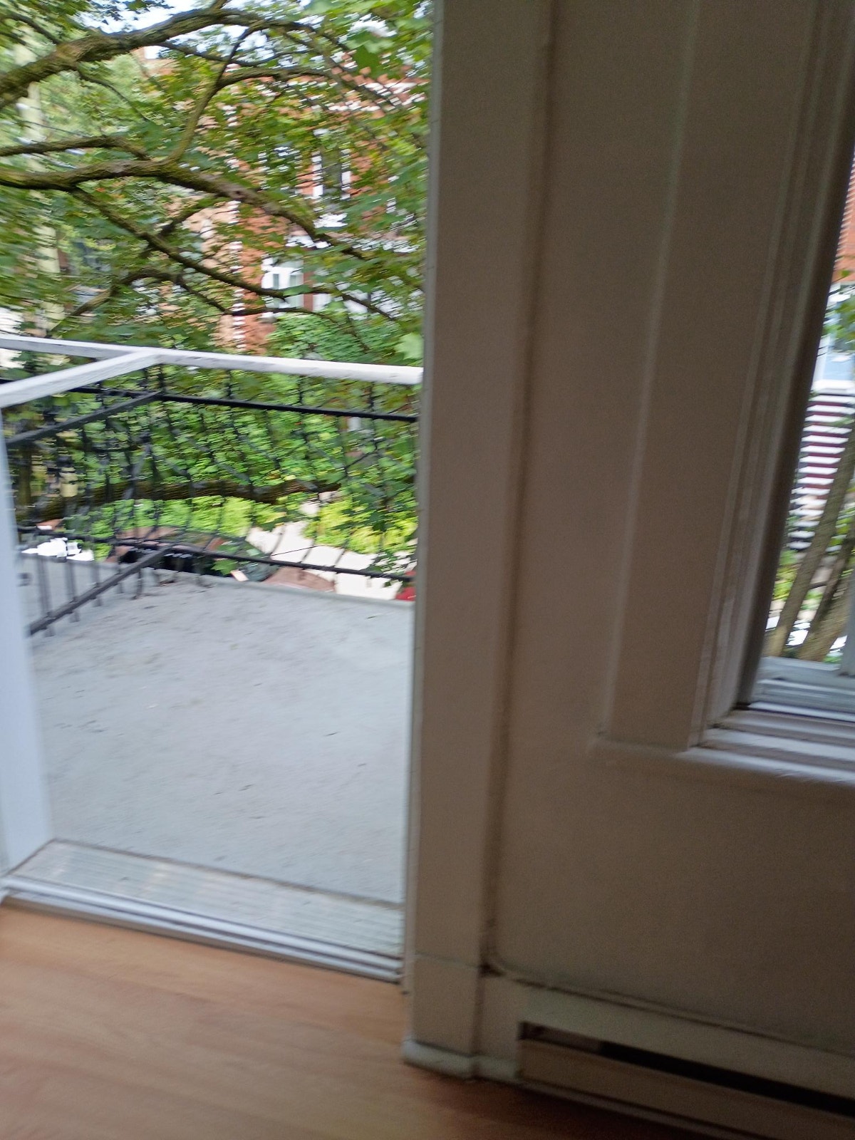 5334 Rue Fabre — photo 2