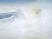 Robert Bateman White Encounter - Polar Bear