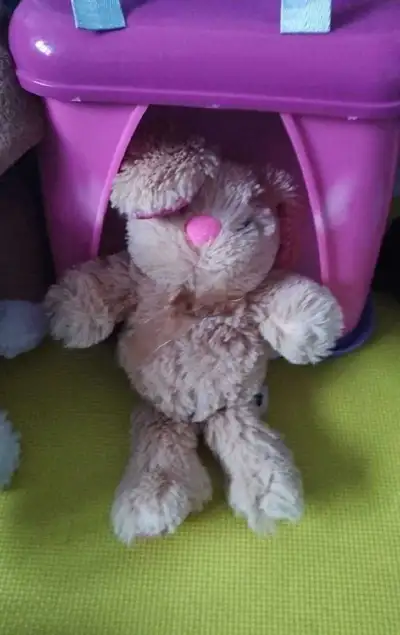 Bunny and dog plush , View more
