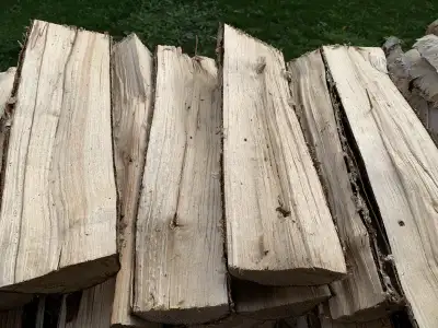 Birch Firewood, View more