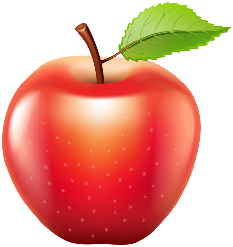 Elementary Tutor for Language & Mathematics65604230259331120