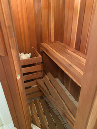 Sauna intérieur pour 2 personnes, 499 $