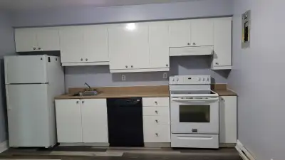 4 1/2 appartment a Louer Rosemont Belanger 30e
