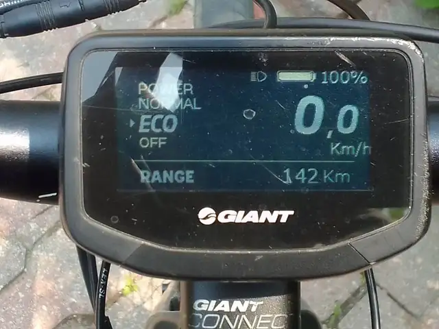 Giant Ebike with pedal assist62863263540994122