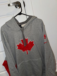 Toronto Raptors Hoodie