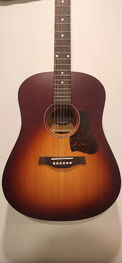 Seagull Entourage Autum Burst, View more