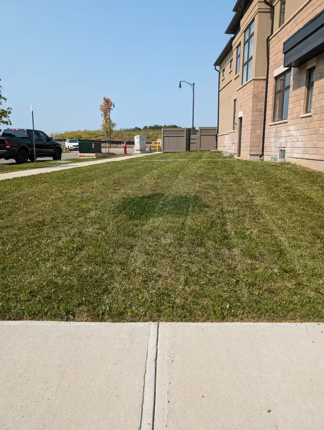 LAWN CARE SERVICES STARTING AT $3562863713700354124