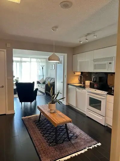 Furnished 1 Bedroom + Den for rent by Spadina and Front St Waterfront. 1 Full Bathroom. Upgraded Whi...